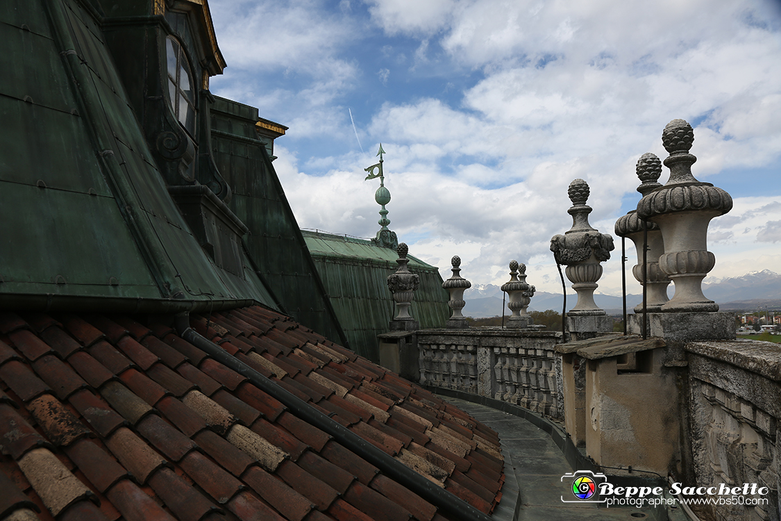 VBS_6007 - Sotto il Cervo - Palazzina di Caccia di Stupinigi.jpg